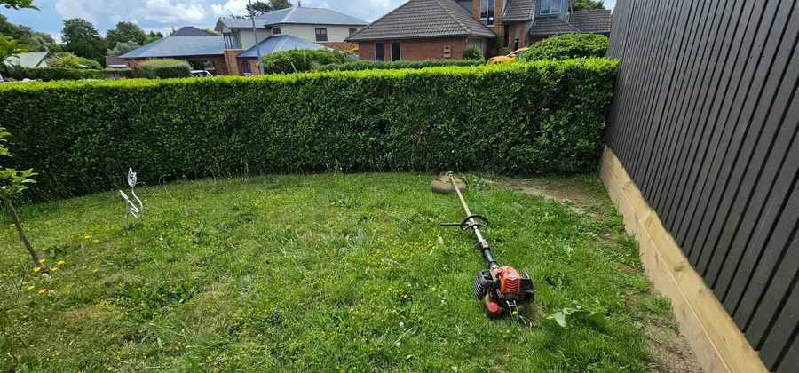 Line trimmer on a neatly trimmed lawn along a hedge