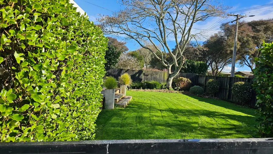 Freshly striped front lawn behind a clipped hedge